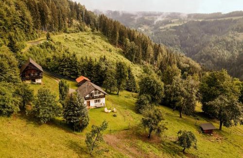Schwanberg House | Almhaus Kochjosel