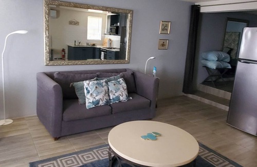 Halcyon Heights Apartment | Almond Tree Studio - Modern A/C Apartment w/2 Queen beds in St. James