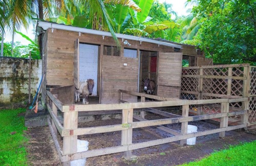 Pacific Coast Villa | Alojamiento Masagua Escuintla con Piscina y granja