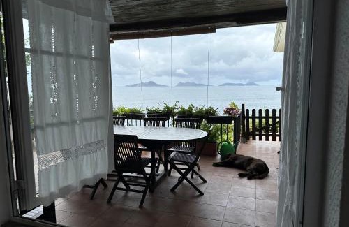 Saians Apartment | Alojamiento peregrinos al pie del camino