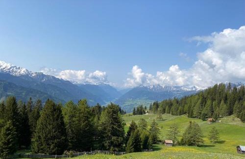Kaunerberg Apartment | Alpenfarm Poschhof