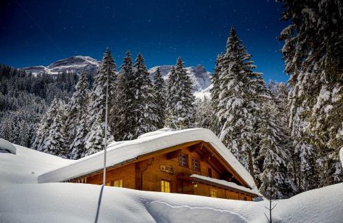 Schattenhalb Ski Chalet | Alpenlodge