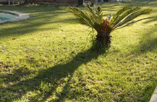 Lequile Villa | Alpha country house. Villa with pool in salento.