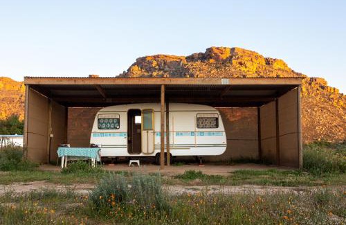 Clanwilliam Other | Alpha Excelsior Donkey camp