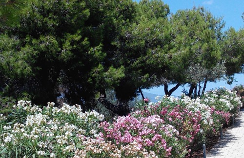 Kilada Apartment | Alphavilla – Relax in this holiday home in a quiet location with beautiful sea view. Welcome!
