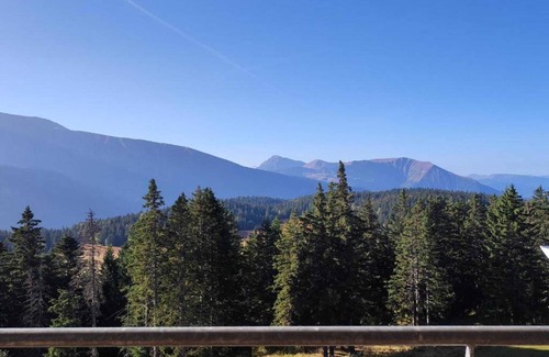 Vaulnaveys-le-Haut Apartment | Alpine Apartment in Chamrousse