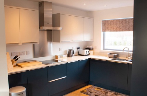 Aviemore House | Alpine View - a cosy Aviemore family home