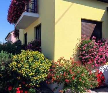 Oberhergheim Apartment | ALSACE Gîte 3étoiles prox Marchés de Noël Colmar, Eguisheim, parking, calme