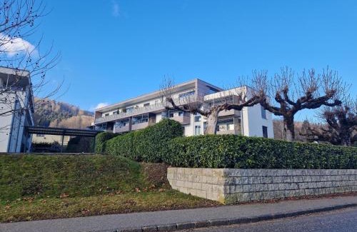 Altmuenster Apartment | Altmünster mit Traunsteinblick