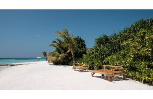 Dhidhoofinolhu Island Resort | Aluoly 23 Private Resort