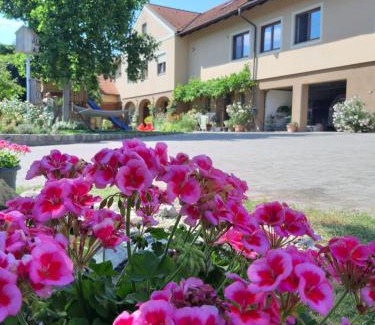 Deutsch-Haslau Apartment | Am Arkadenhof