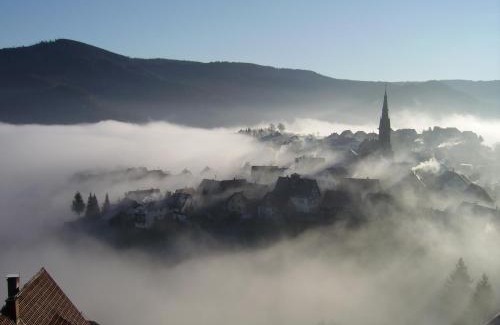 Forbach Apartment | Am Keschtewaeldele *