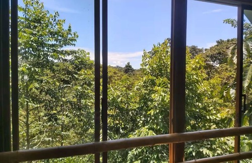 Banos de Agua Santa Cabin | Amanecer Amazonico - Rustic cabin with Amazon rainforest view