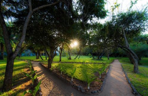 Kutani Resort | Amani Beach Resort