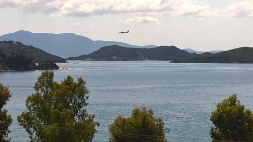 Skiathos Town Apartment | Amaranthos Skiathos View