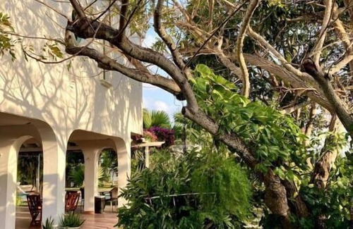 Punta Chame Villa | Amazing Beachfront Villa - Palm House