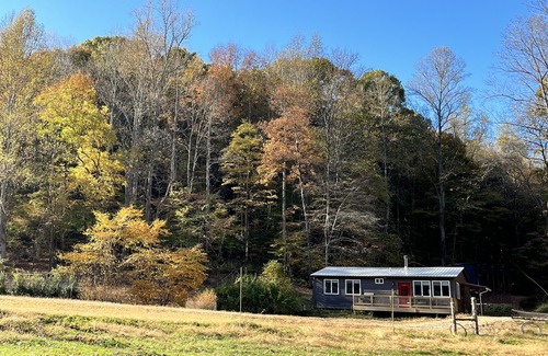 Lobelville House | Amazing Getaway! Forest Setting Outside Nashville Near Loretta Lynn's