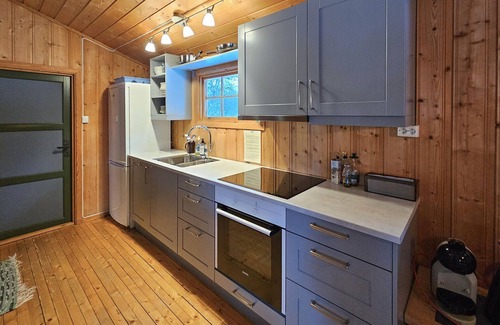 Rauland House | Amazing home in Rauland