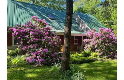 Belfast House | Amazing house in the forest; 10 minutes to Belfast