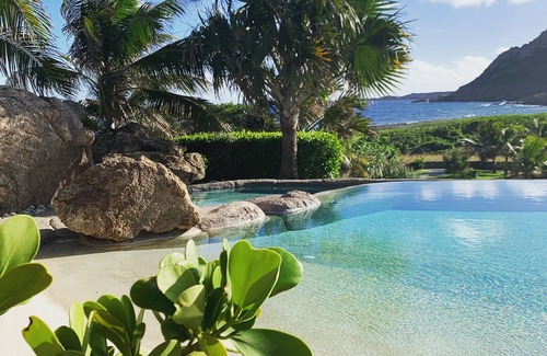 Grand Fond Villa | Amazing swimming pool. La Roche dans l'Eau.