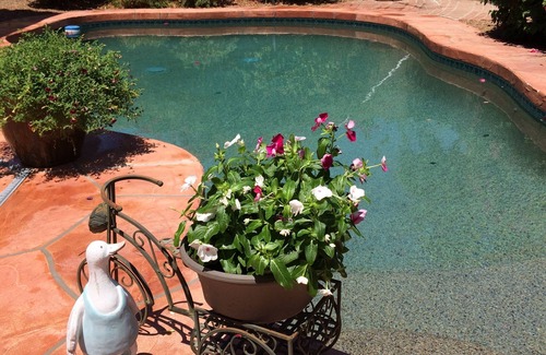 Chandler House | Amazing, updated home in golf community, private heated Pool