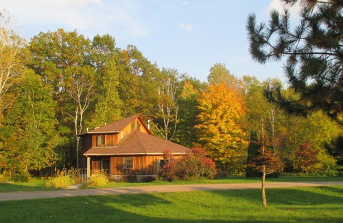 Finlayson House | Amazing Vaulted Space Surrounded By Decks In The Forest With A 120" Home Theatre
