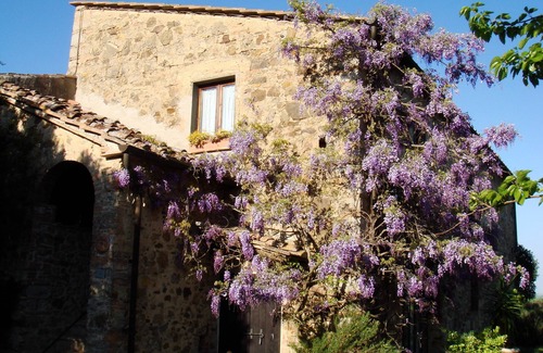 Barberino Val d'Elsa Apartment | Amazing views in peaceful country setting close to many attractions
