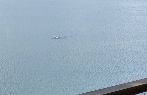 Camano Island House | Amazing Views and Whale Watching from Indoors and Outside, with AC!