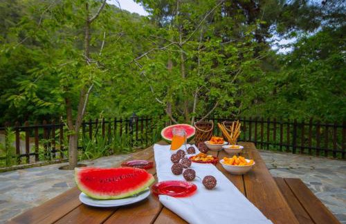 Platres Villa | Amazing Villa in Pano Platres Cyprus