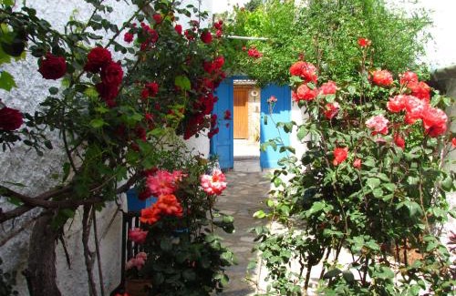 Selcuk House | Amazon Antique