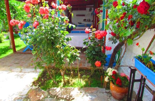 Selcuk House | Amazon Antique
