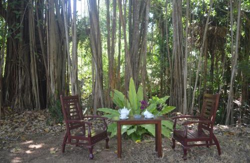 Mahasenpura Villa | Amazon Cabanas