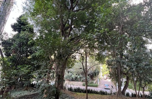 Sao Paulo Apartment | Amazonas/IBC/PCD/Congonhas Airport/Interlagos Racetrack/Expo Transamerica.