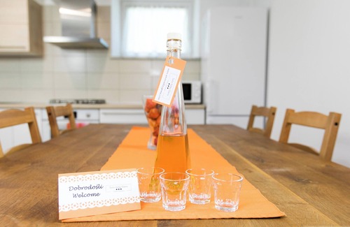 Livek Apartment | AMBER Apartment in the mountains