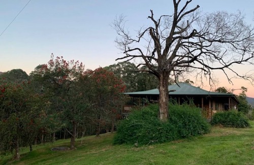 Bandon Grove House | Amble Lea amongst the trees