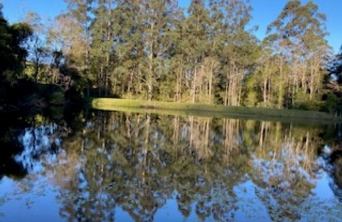 Bandon Grove House | Amble Lea amongst the trees