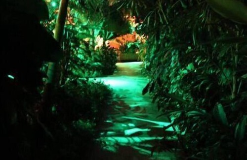 Willemstad Apartment | Amigunan, tropical mini resort - Pariba 1-2p