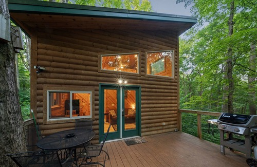 Logan Cabin | Among the Trees - The Library