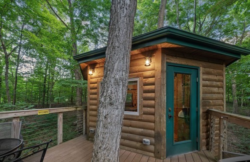 Logan Cabin | Among the Trees - The Nest