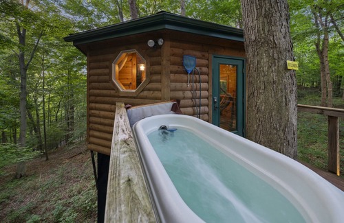 Logan Cabin | Among the Trees - The Nest