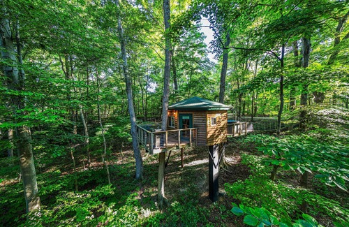 Logan Cabin | Among the Trees - The Nest