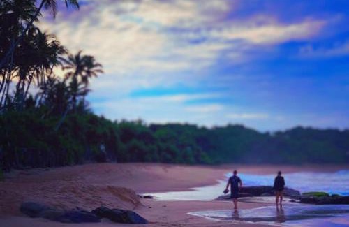 Rekawa Bed & Breakfast | AMOUR AT TURTLE BEACH