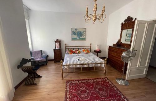 Pisa City Centre Apartment | Ampio appartamento a due passi dal lungarno