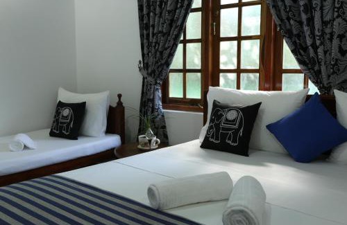 Anuradhapura Bed & Breakfast | Amsterdam Tourist Rest