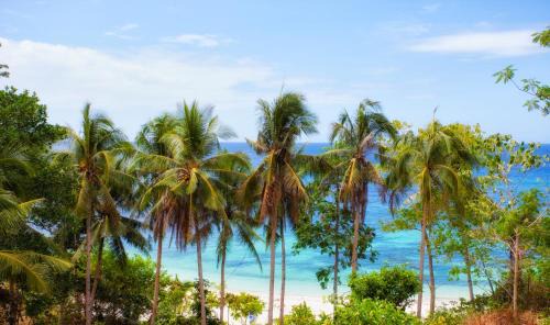 Anda Resort | Amun Ini Beach Resort & Spa