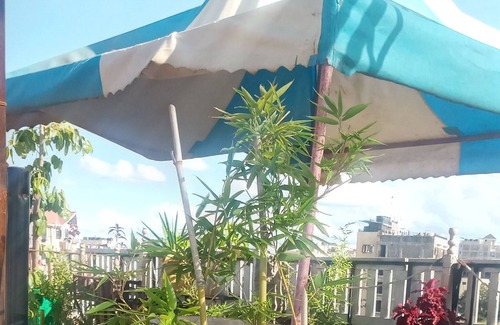 Thika Apartment | An apartment with a rooftop garden in Thika