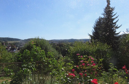 Bad Wildungen Apartment | An apartment with a view - in the middle of Bad Wildungen