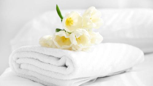 Lakeport Hotel | Anchorage Inn Lakeport