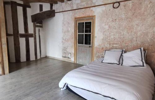 Chatillon-Sur-Loire House | Ancien hôtel particulier avec patio