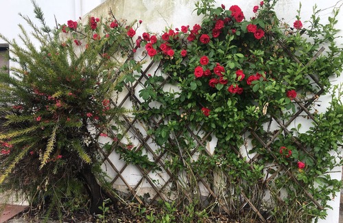 Cava de' Tirreni House | Ancient "CASOLARE ULIVETO" near POMPEI /AMALFI Coast with affiliated POOL